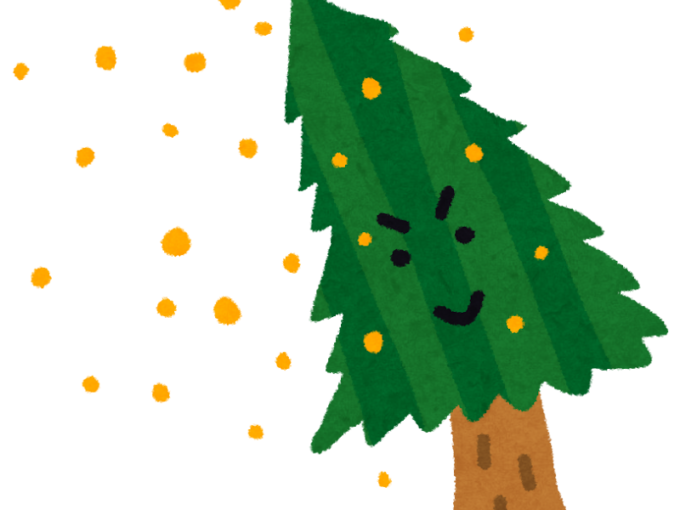 花粉シーズン到来！