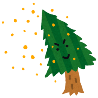 花粉シーズン到来！